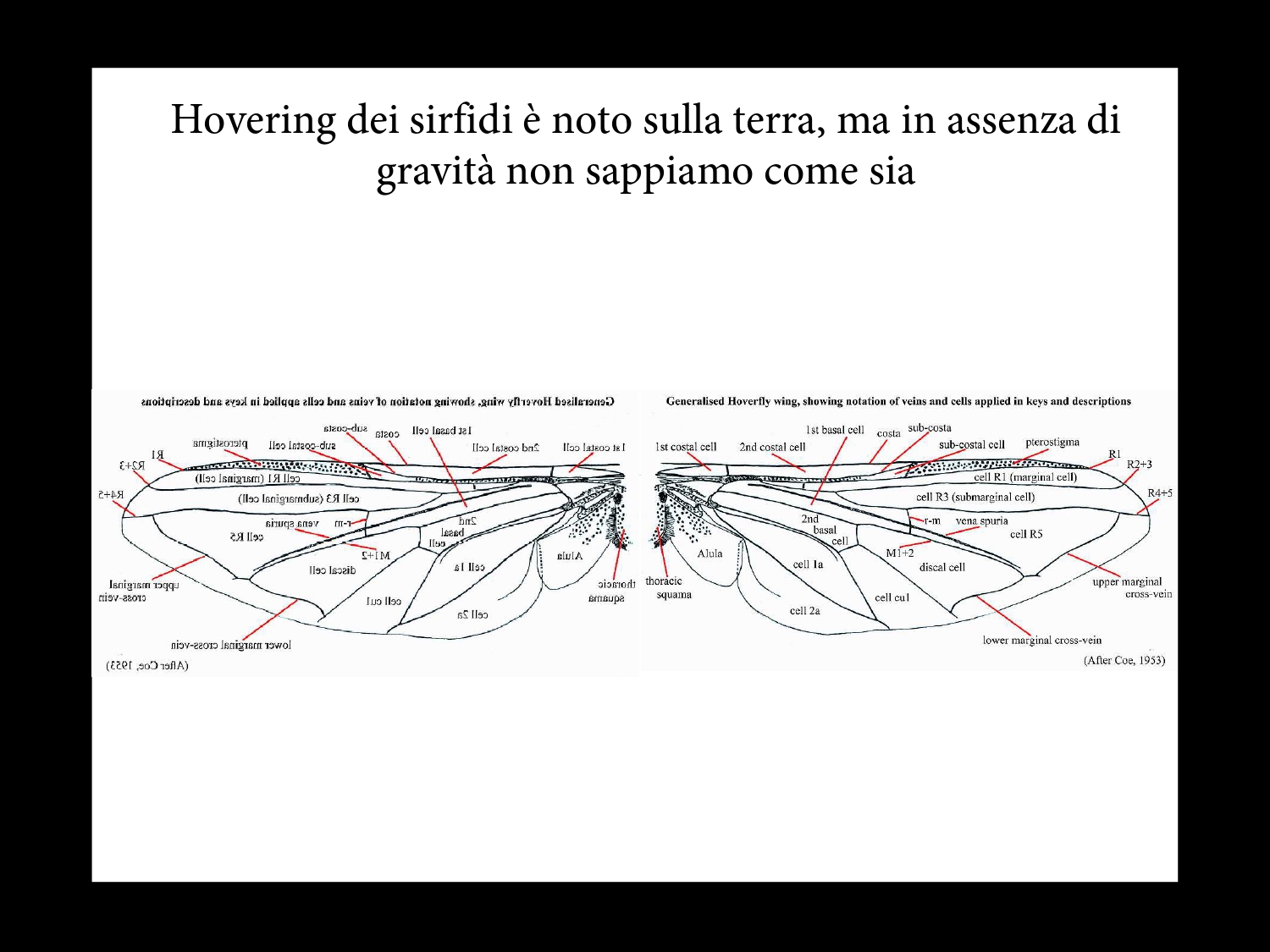 Hovering
